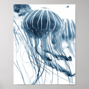 AFFICHE POSTE PHOTOGRAPHIQUE DE LA JELLYFISH DE MER