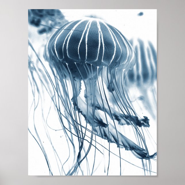 AFFICHE POSTE PHOTOGRAPHIQUE DE LA JELLYFISH DE MER (Devant)