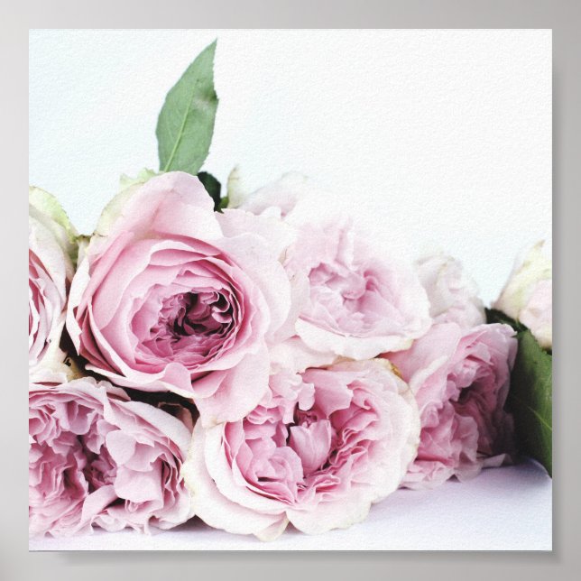 AFFICHE POSTE PHOTOGRAPHIQUE PINK PEONIES (Devant)