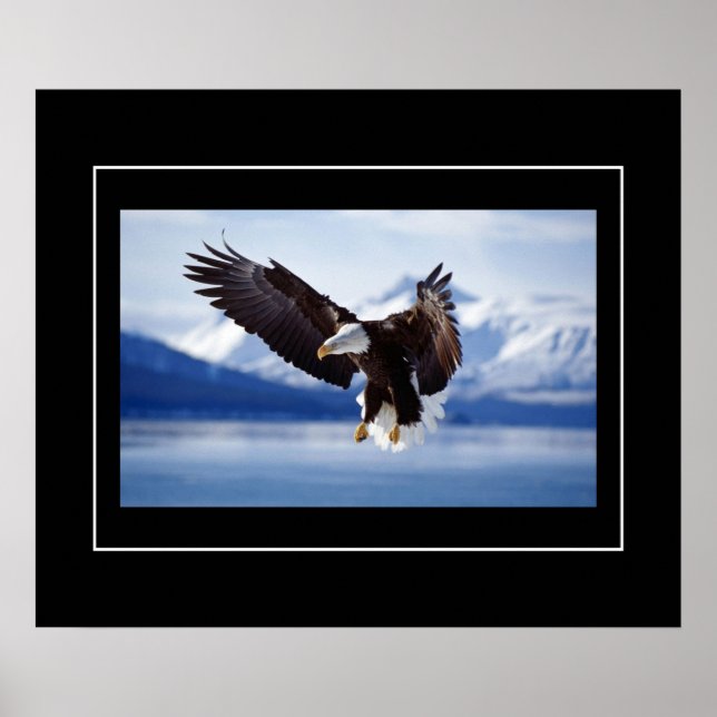 Affiche Poster-Aigle (Devant)