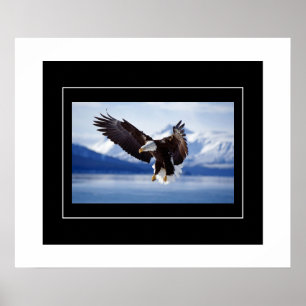 Affiche Poster-Aigle