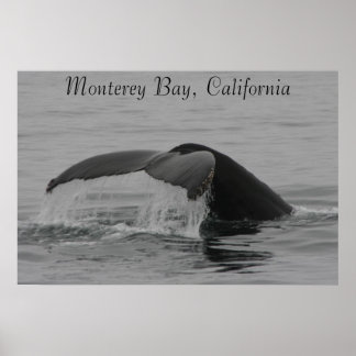 Affiche Poster, Baleine Fluke, Monterey