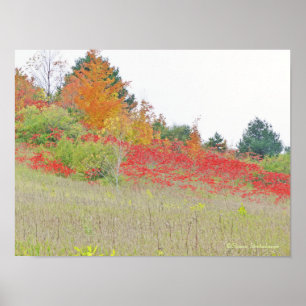 AFFICHE POSTER/CANVAS GLOSS/PHOTOG / "CARPET ROUGE"