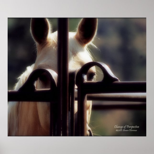 Affiche Poster, Changement de perspective, Cheval, Ferme,  (Devant)