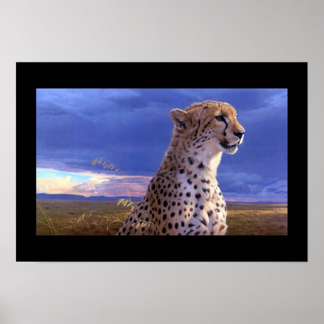 Affiche Poster-Cheetah (Devant)