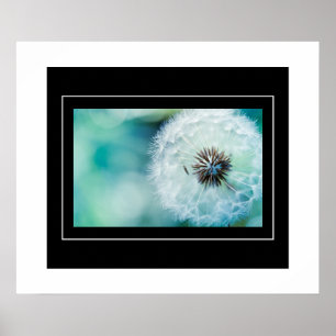Affiche Poster-Dandelion
