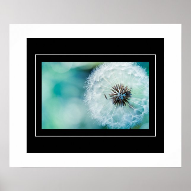 Affiche Poster-Dandelion (Devant)