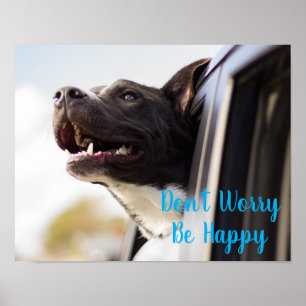 Affiche Poster-Dog Visage dehors Fenêtre de voiture Ne vou