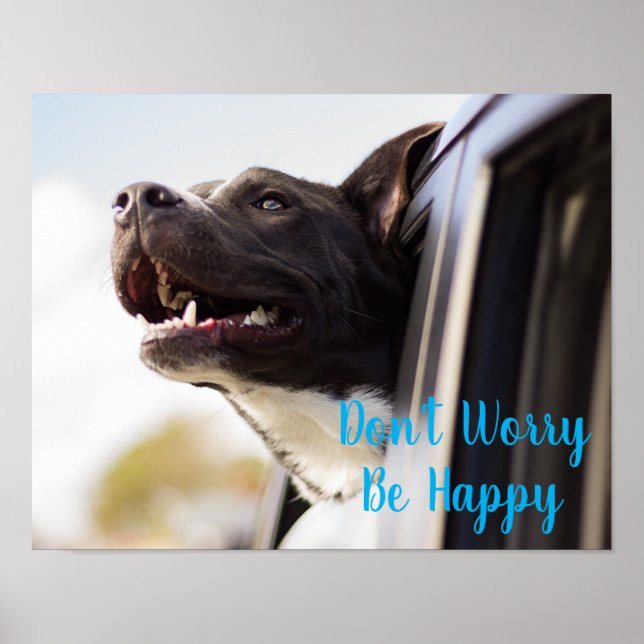 Affiche Poster-Dog Visage dehors Fenêtre de voiture Ne vou (Devant)