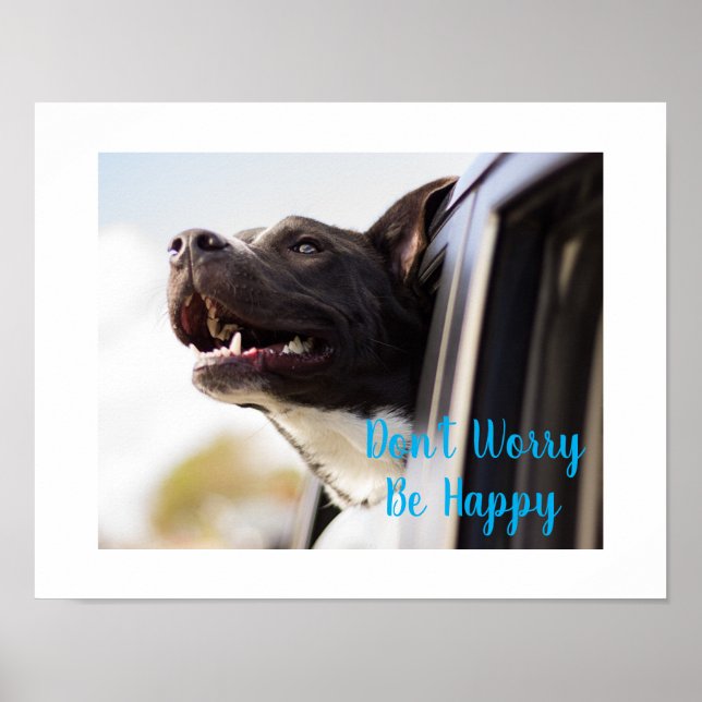 Affiche Poster-Dog Visage dehors Fenêtre de voiture Ne vou (Devant)