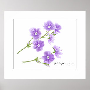 Affiche Poster-Fleur sauvage violet