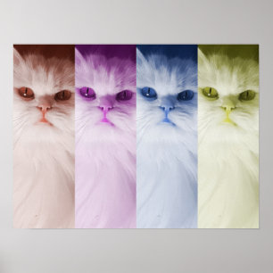 Affiche Póster gato de colores
