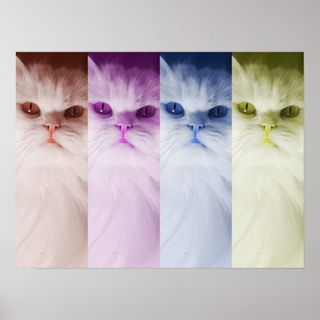 Affiche Póster gato de colores (Devant)