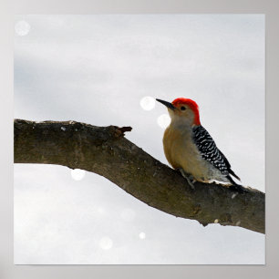 Affiche Poster/Impression de Pic-Rouge