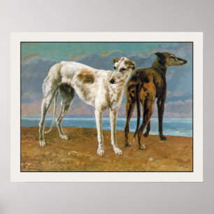 Affiche Poster/Impression Greyhound : Deux Greyhounds