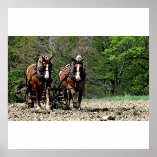 Affiche Poster/imprimer