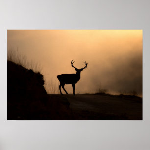 Affiche Poster/Imprimer de l'affiche de Red Stag