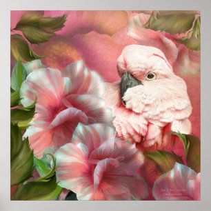 Affiche Poster/Imprimer Un Boo Cockatoo