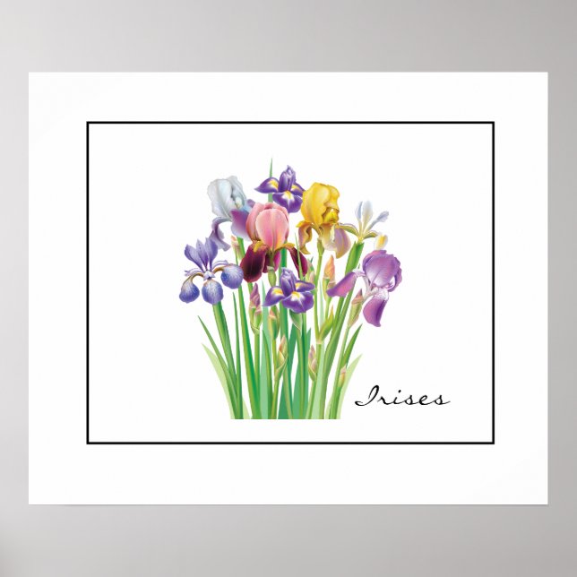 Affiche Poster-Irises (Devant)