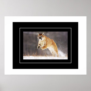 Affiche Poster-Lion de montagne