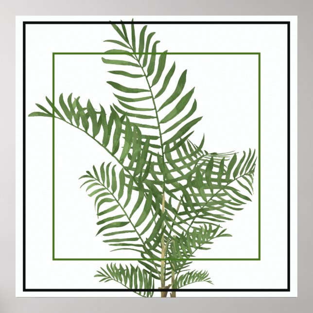 Affiche Poster-Palm 24" x 24" (Devant)