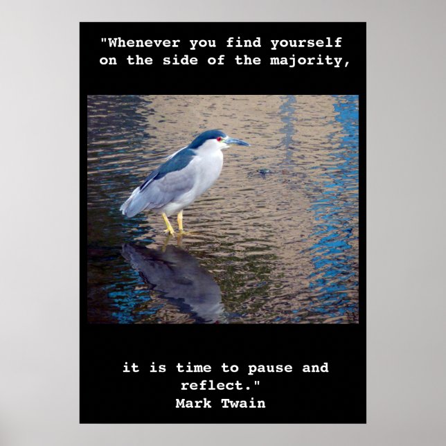 Affiche Poster, Pause et réflexion Oiseau d'Hawaï (Devant)