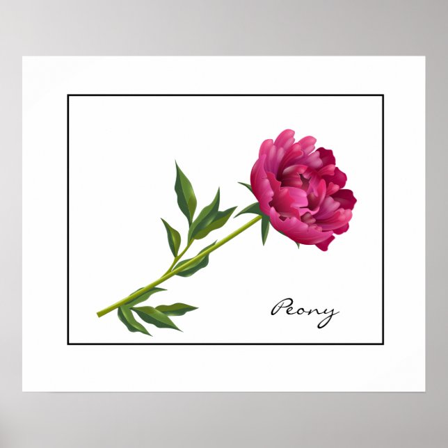Affiche Poster-Peony (Devant)