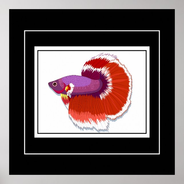 Affiche Poster-Poster-Tropical (Devant)