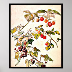 Affiche Poster-Vintage Illustration-Beatrix Potter 9