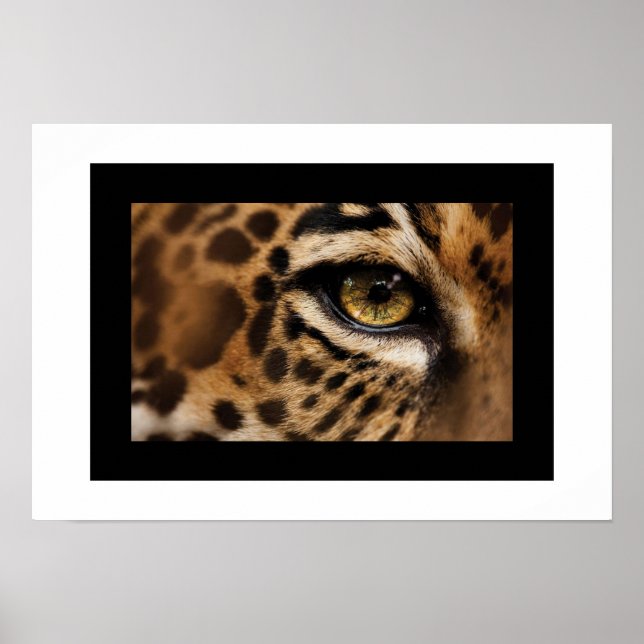 Affiche Poster-Wild Cat (Devant)