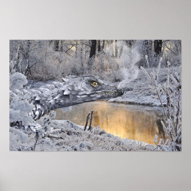 Affiche PosterDragon d'hiver (Devant)