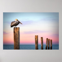 Posts & a Pelican | Fort Myers Beach, Floride
