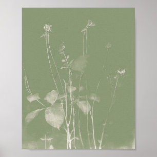 Affiche Pot de fleurs vert Fleur sauvage Cyanotype 1