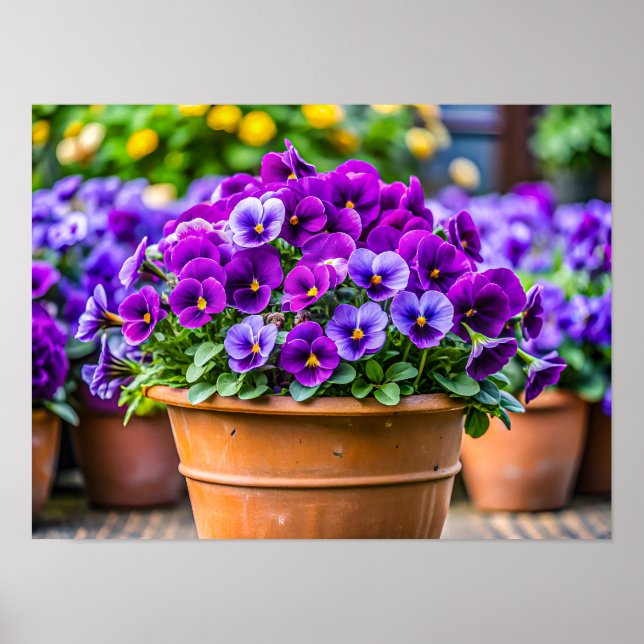 Affiche Pot de fleurs violet charmant (Devant)