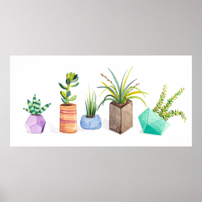 Affiche Pot de succulents (Devant)