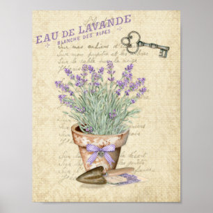 Affiche Pot en terre cuite pour jardin Lavande Française