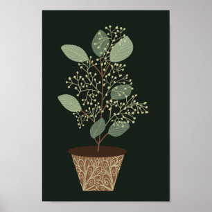 Affiche Pot vert plante eucalyptus feuilles graines terrac