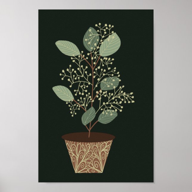Affiche Pot vert plante eucalyptus feuilles graines terrac (Devant)