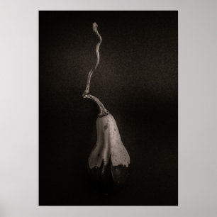 Affiche Potirons N° 16