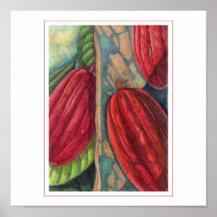 Affiche Pots de cacao