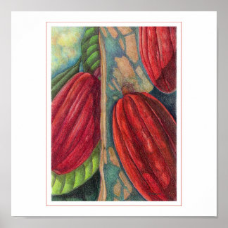 Affiche Pots de cacao