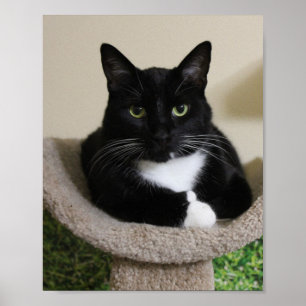 Affiche Pouce vers le haut