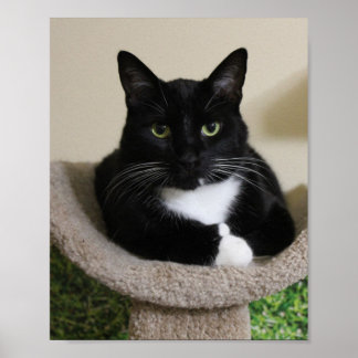 Affiche Pouce vers le haut