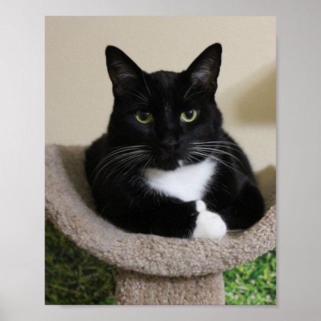 Affiche Pouce vers le haut (Devant)