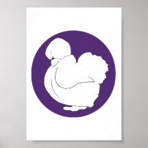 Poule soyeuse