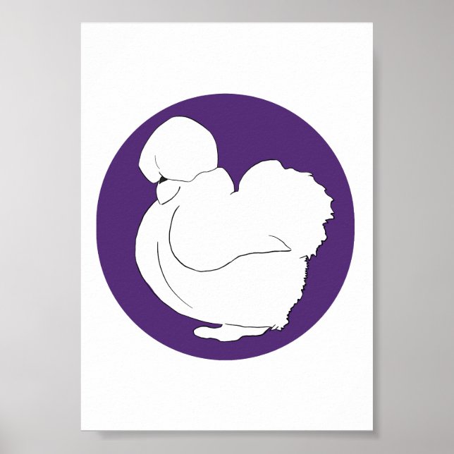 Affiche Poule soyeuse (Devant)