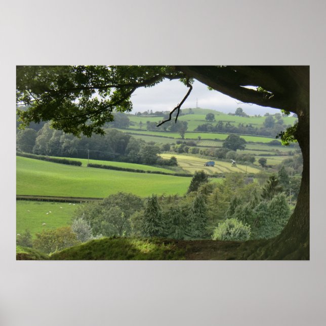 Affiche Poules à l'équinoxe d'automne (Devant)