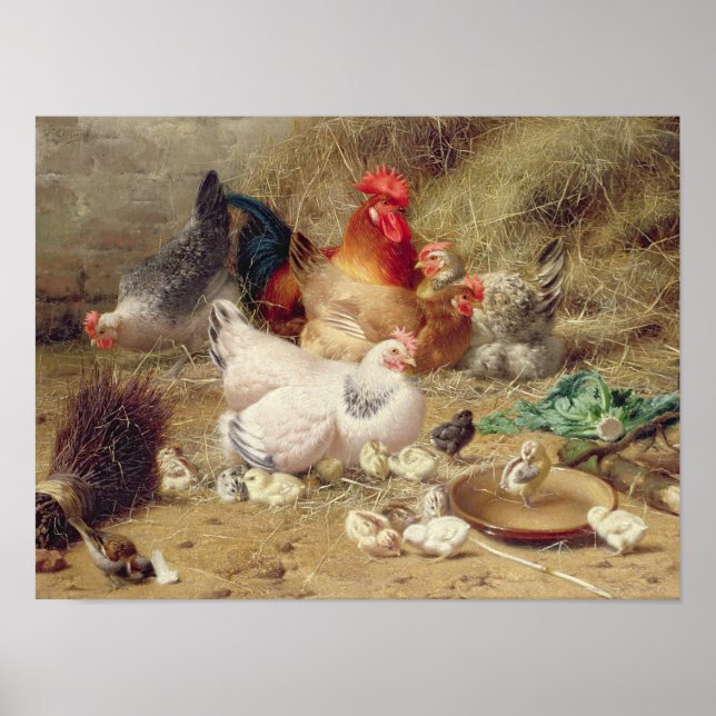 Affiche Poules nichant avec leurs poulets (Devant)