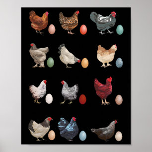 Affiche Poulet Amusant Avec Oeufs Pâques Jour Poulet Cl te