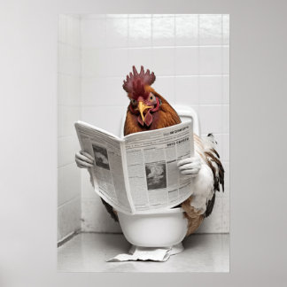 Affiche Poulet assis sur les toilettes Lire un journal